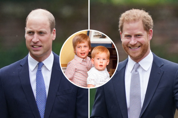 Princi William ndalon Harryn të kthehet në familjen mbretërore