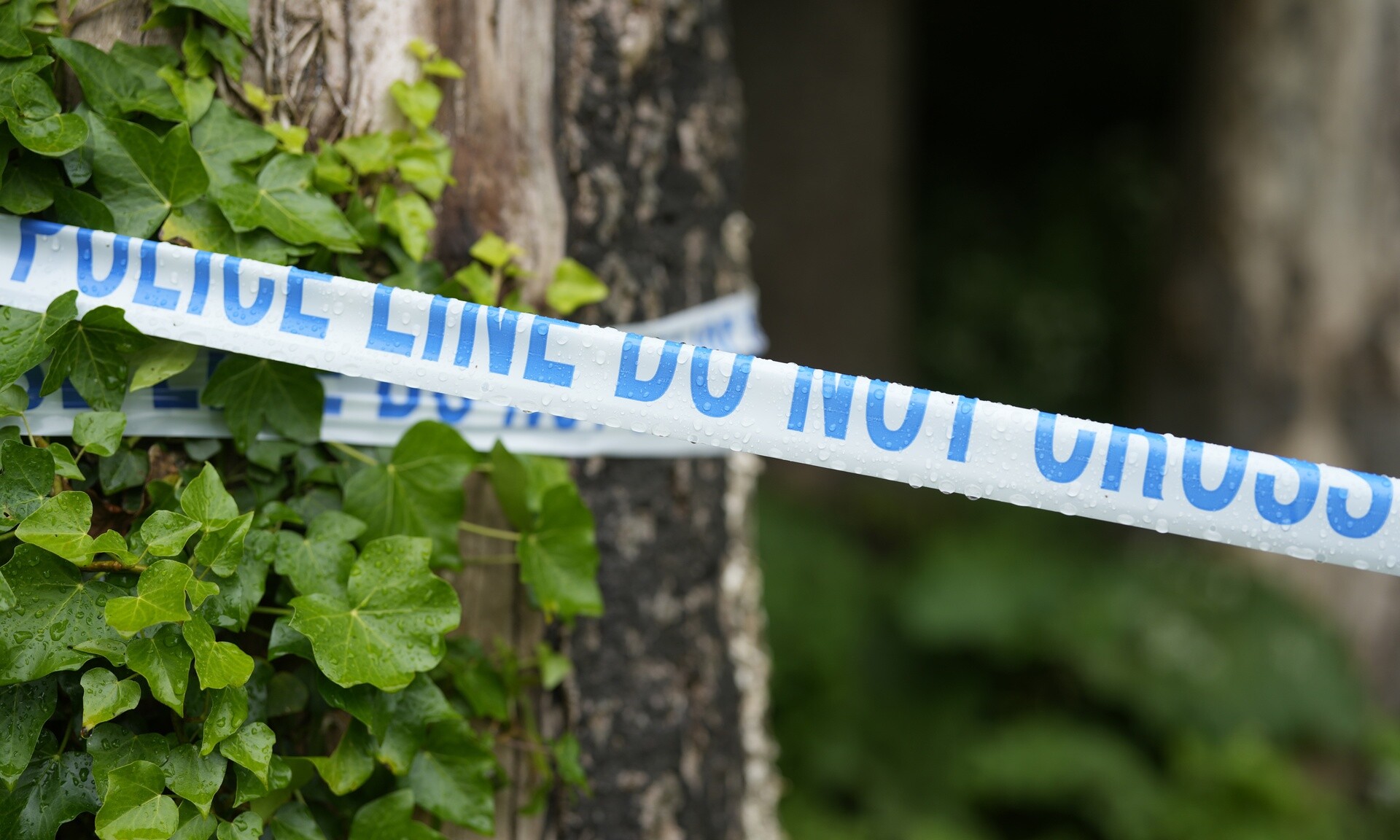 Vranë me thikë të riun, dy të miturit 12-vjeç shpallen fajtor dhe dënohen me burg në Angli