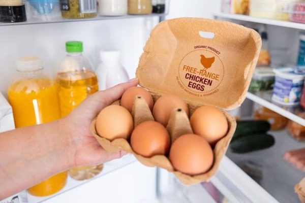 Në frigorifer apo në ambient, ja si duhet t’i ruajmë vezët