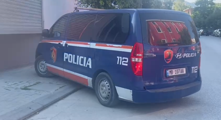 U konfliktuan me policët në Vlorë, lihen në burg dy vëllezërit  