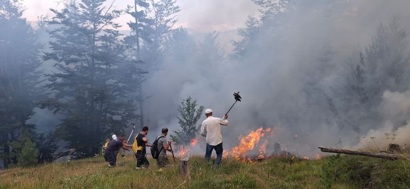 Vijojnë zjarret në Dibër, dy vatra aktive, kërkohet ndërhyrja nga ajri