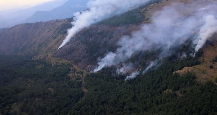 150 zjarre nga 1 qershori: Shumica e tyre kanë qenë të qëllimshme